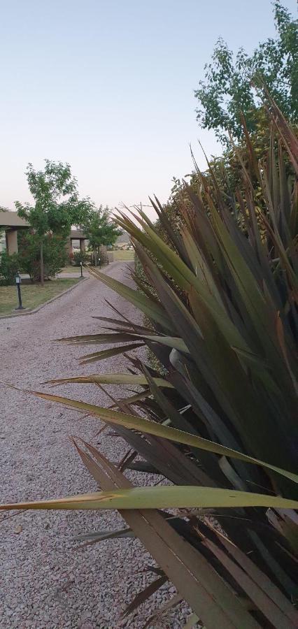 Alto San Andres Bed & Breakfast San Andres de las Sierras Exterior foto